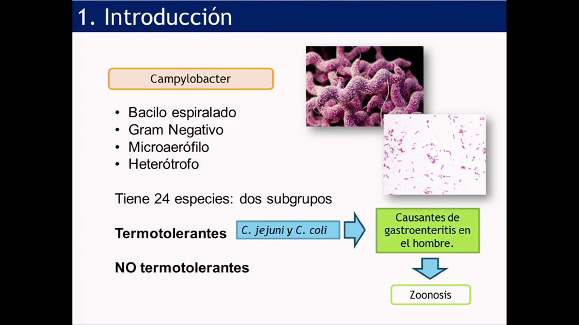 Detección, aislamiento y cuantificación de Campylobacter spp. e indicadores microbiológicos en muestras de ...<br/>agua procedentes de dos plantas potabilizadoras. Estefanía Nathaly Eras Muñoz