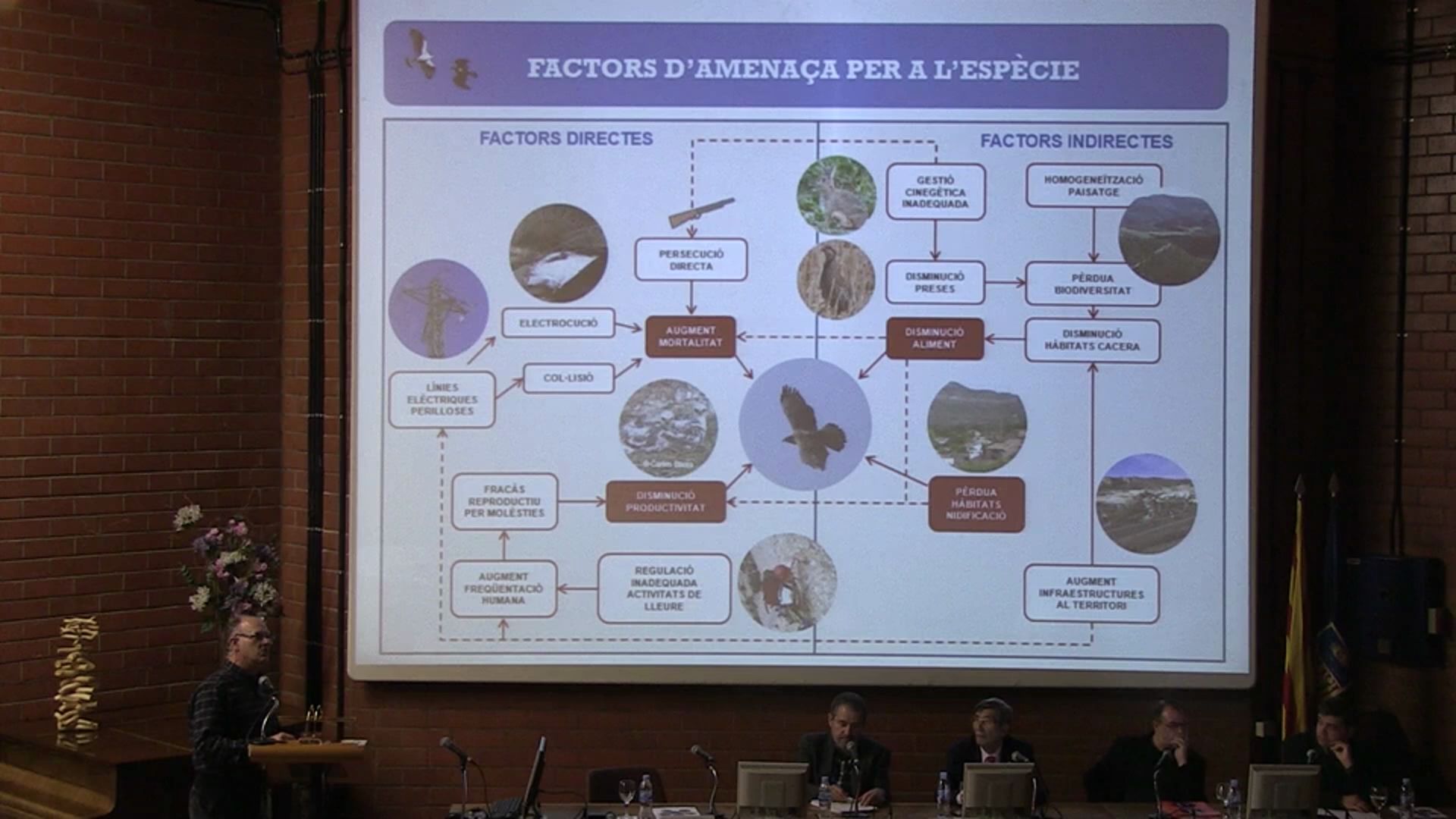 Acte de presentació dels resultats del projecte 'La viabilitat de la població de l'àliga perdiguera a ...<br/>Catalunya: guies per a la conservació'