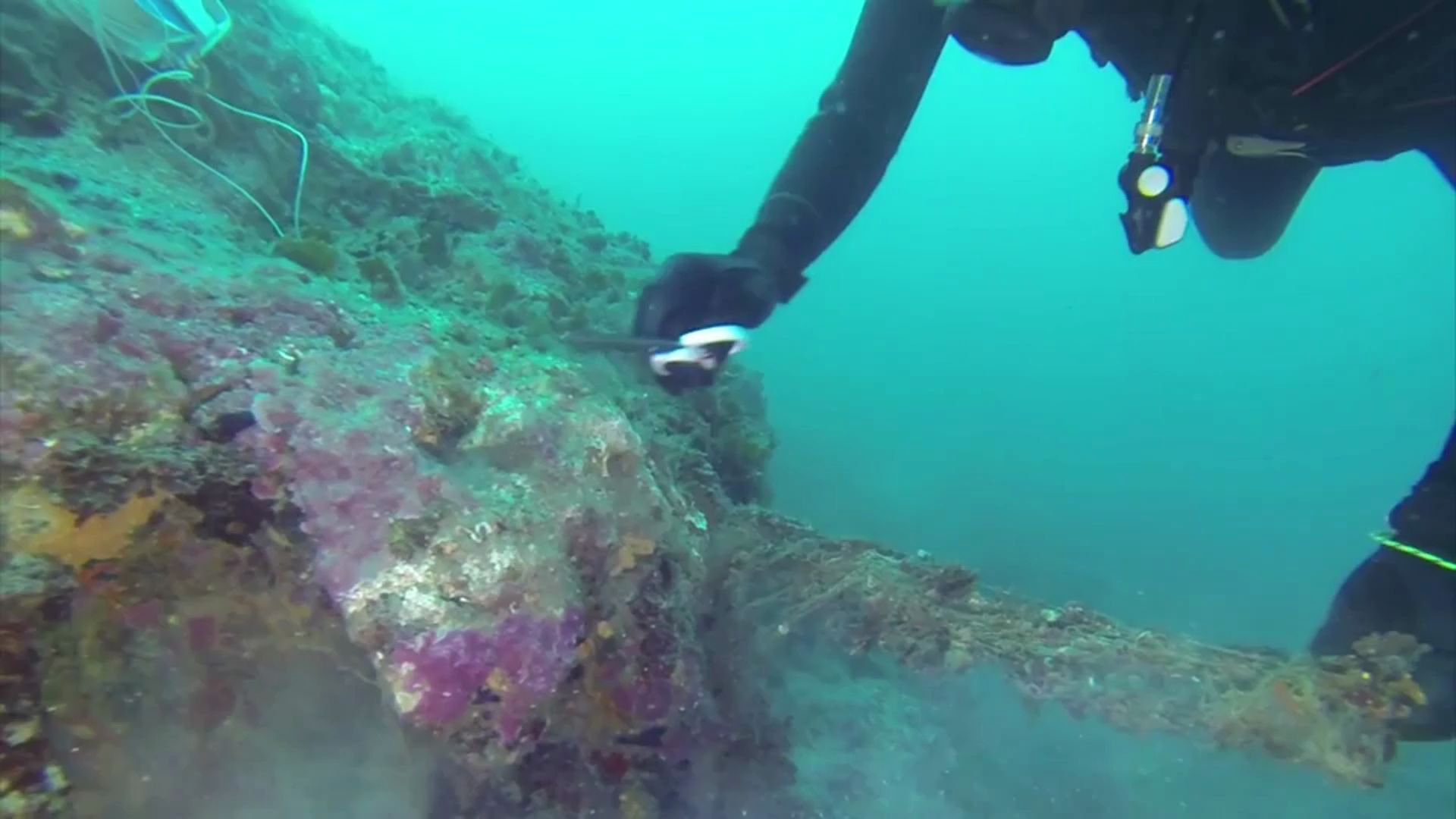 Retirant xarxes de pesca perdudes del fons marí