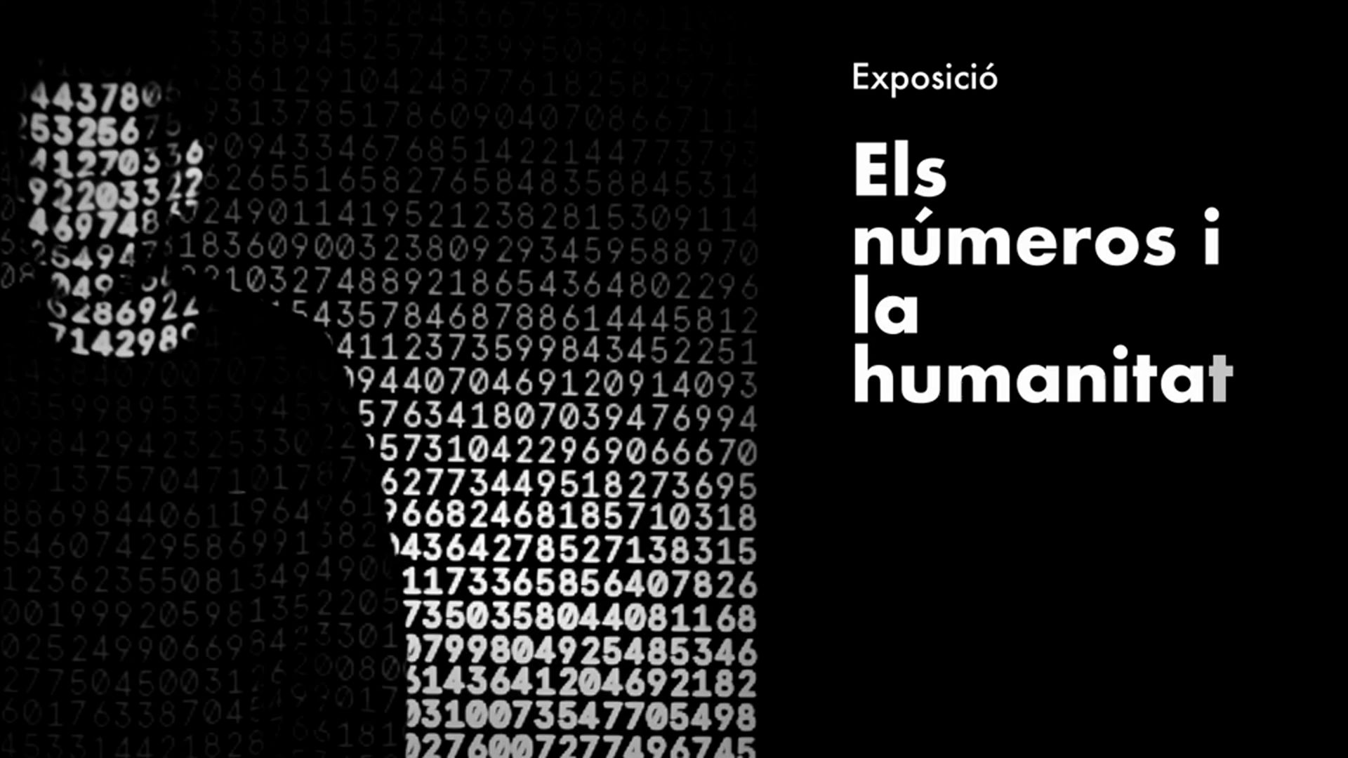 Exposició: Els números i la humanitat