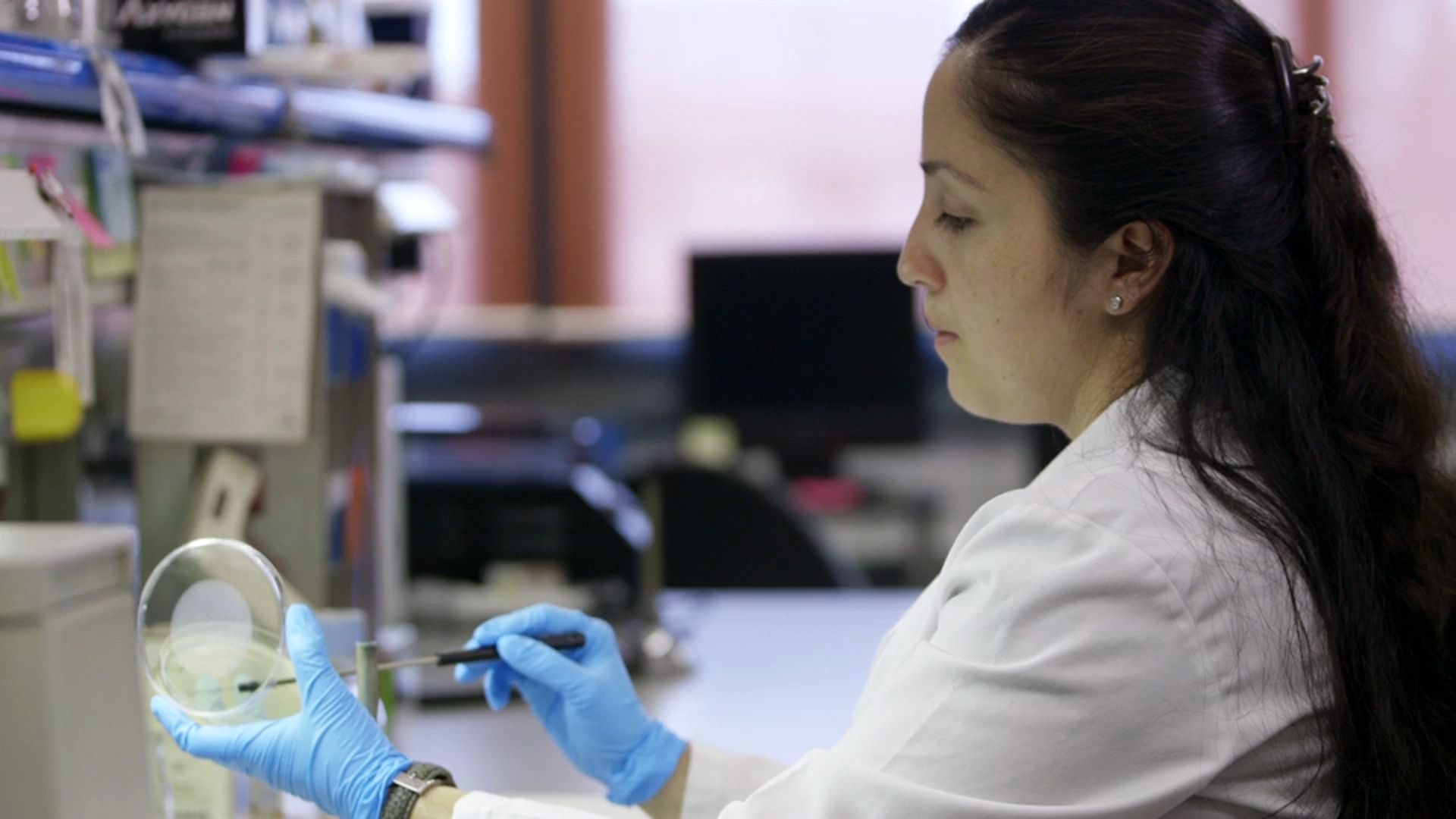 BLUEPHAGE®: empresa de biotecnología especializada en la detección bacteriófagos como indicadores de virus ...<br/>en agua